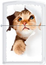 Load image into Gallery viewer, Zippo Lighter- Personalized Cool Cat Bow Kitten Puddy Kitty Inside Hole #Z5564
