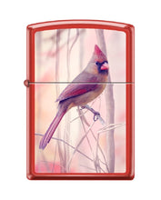Load image into Gallery viewer, Zippo Lighter- Cardinal Birds Songbird Perched Red Matte Lighter #Z5537
