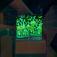 Load image into Gallery viewer, Zippo - Customized Message on Mushroom Party Glow in The Dark Pocket 46564
