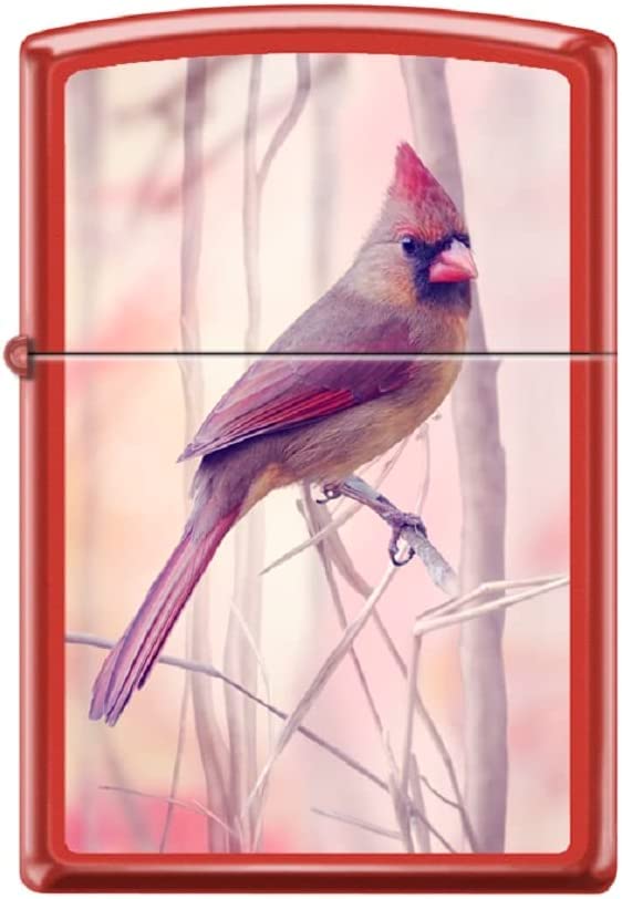 Zippo Lighter- Personalized Engrave Cardinal Birds Songbird Perched #Z5537